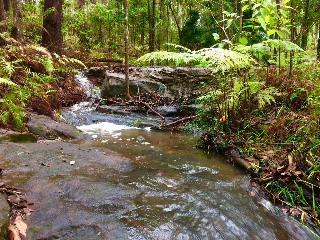Апартаменти Noosa Hinterland Retreat Tinbeerwah Екстер'єр фото